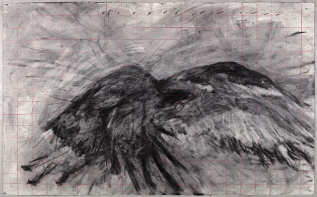 flight